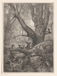 Herten in een bos