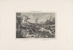 Hertenjacht