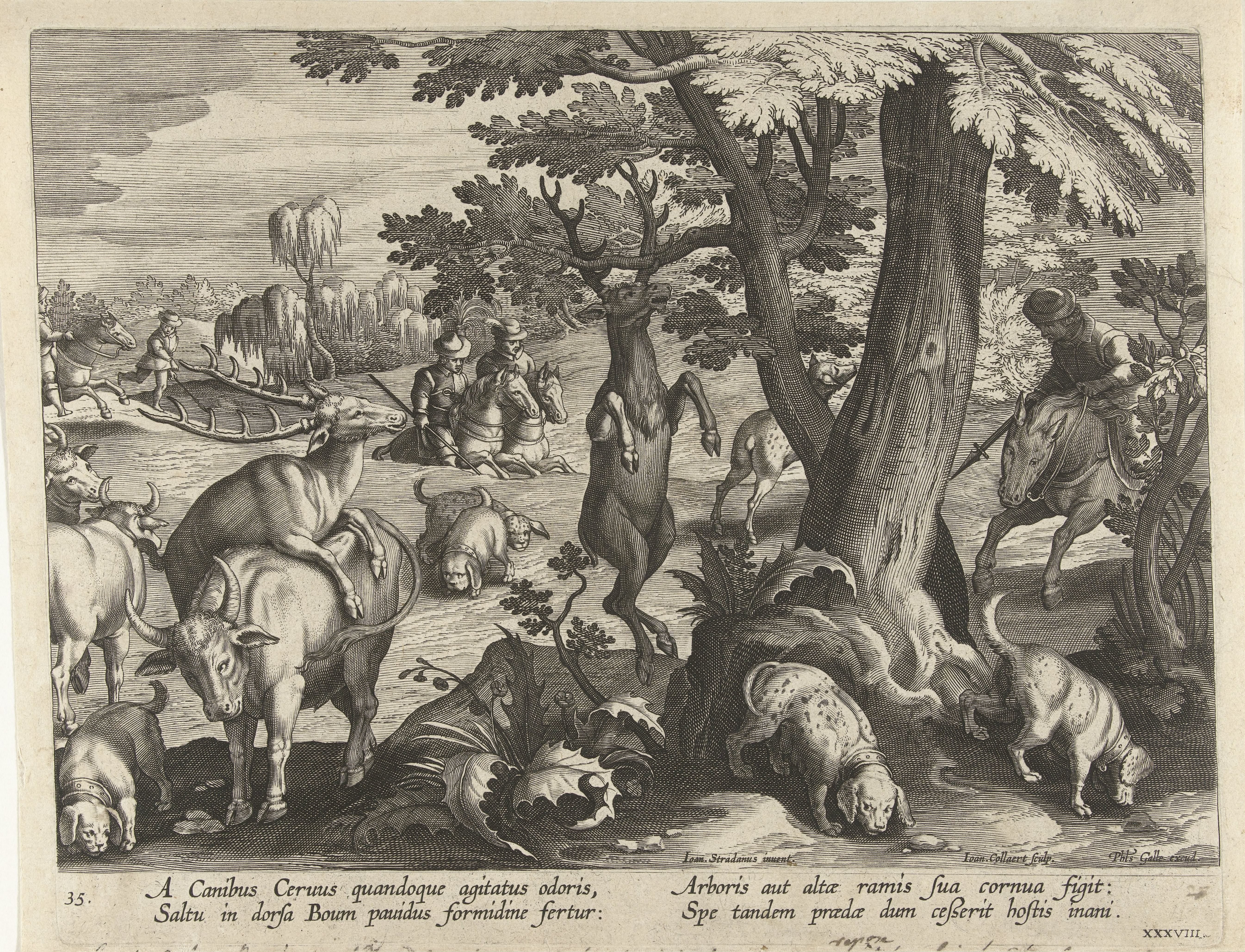 Hertenjacht met honden by Jan Collaert (II)