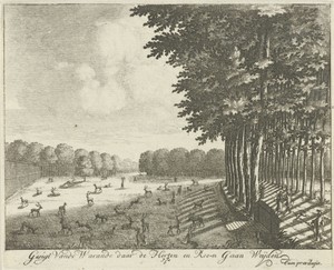 Hertenkamp van Paleis Soestdijk