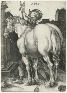 Het grote paard