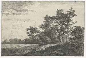 Het korenveld