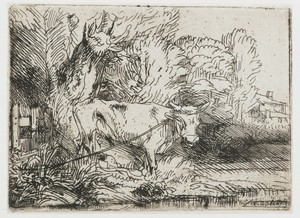 Het stiertje
