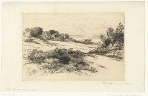 Heuvelachtig landschap bij Swanage