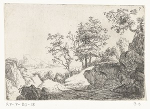 Heuvelachtig landschap met bomen