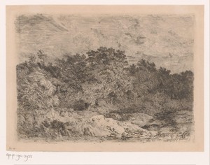 Heuvelachtig landschap met bomen in de wind