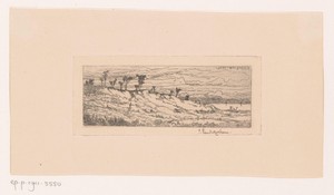 Heuvelachtig landschap met bomenrij
