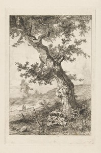 Heuvelachtig landschap met een scheve boom en twee wandelaars