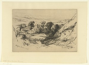 Heuvelachtig landschap met een weg