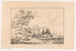 Heuvelachtig landschap met koeien en schapen