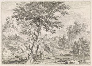 Heuvelachtig landschap met rotsen