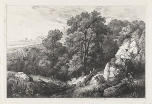 Heuvelachtig landschap met wandelaar