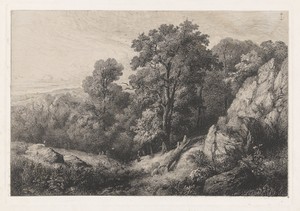 Heuvelachtig landschap met wandelaar