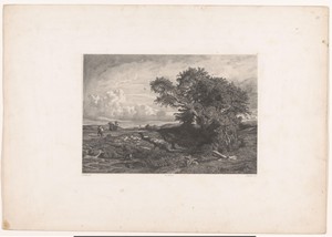 Heuvellandschap met boom en vijver