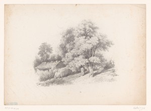 Heuvellandschap met huis tussen de bomen