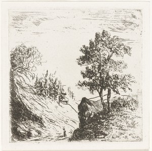 Heuvellandschap met twee bomen op rots