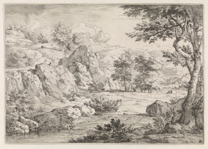 Heuvellandschap met vijver