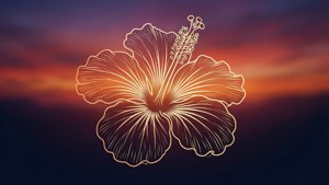 Hibiscus Sunset Silhouette