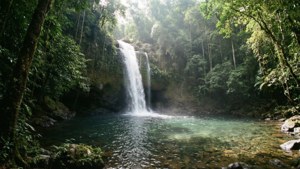 Hidden Waterfall