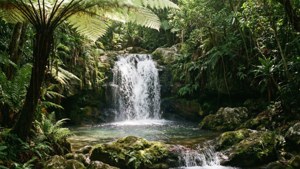 Hidden Waterfall