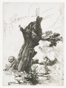 Hieronymus bij de knotwilg
