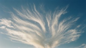 High Altitude Nimbus