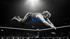 High Flyer in Action