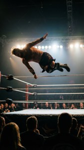 High Flyer Silhouette