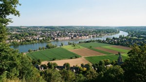 Hilltop City View