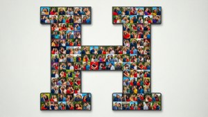 Hinge Photo Mosaic