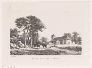 Hoeve in landschap met vee