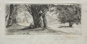Holly Field