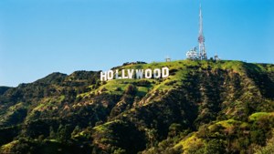 Hollywood Icon