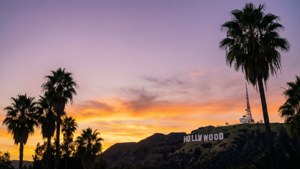 Hollywood Purple Sunrise