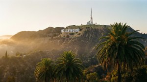 Hollywood Sunrise