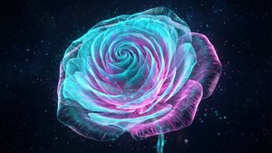 Holographic Bloom