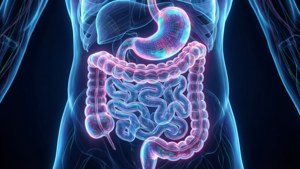 Holographic Digestive