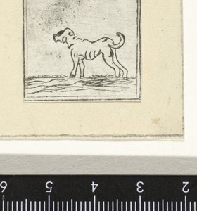 Hond
