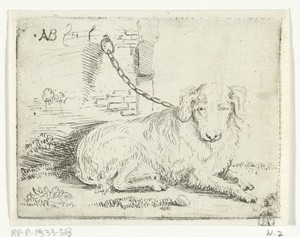 Hond aan ketting
