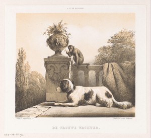 Hond en aap op terras