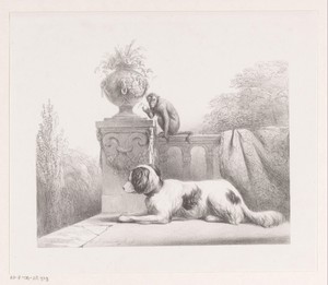 Hond en aap op terras
