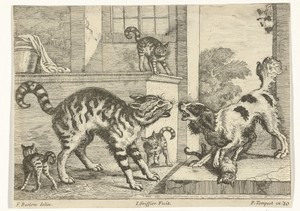 Hond en kat