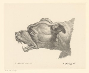 Hond met opengesperde bek