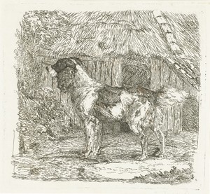 Hond staand bij hok