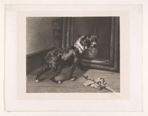 Hond voor een spiegel