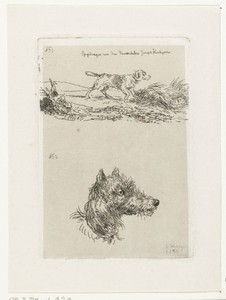 Hondekop en hond in landschap