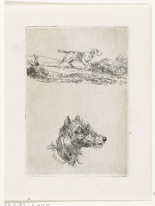 Hondekop en hond in landschap