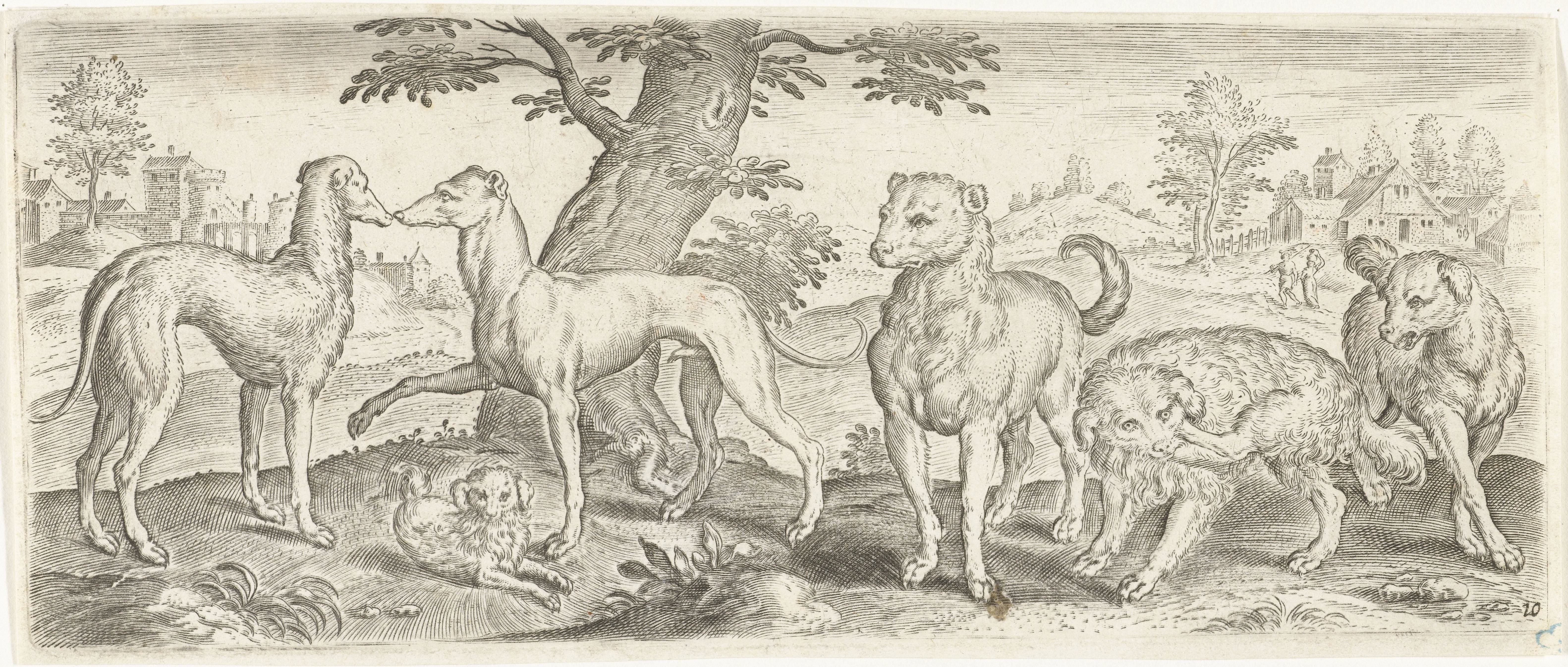 Honden by Abraham de Bruyn