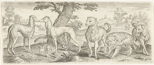Honden