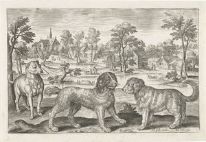 Honden